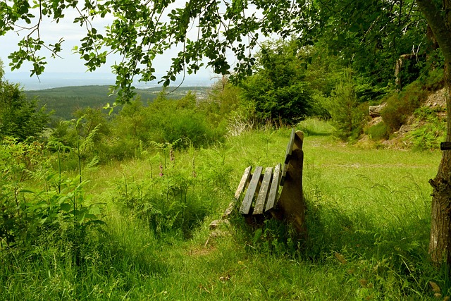 精准的三分 精准的三分
