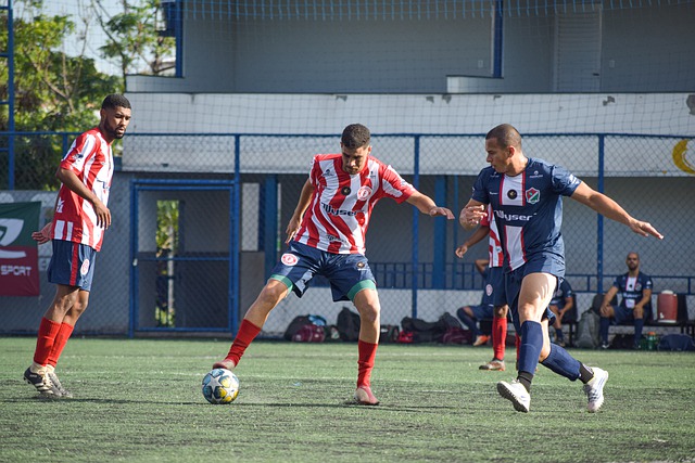 门迪效应 门迪效应