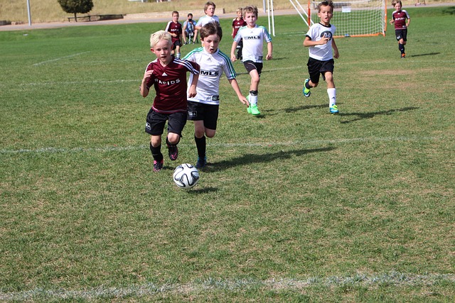 明显加强了 明显加强了