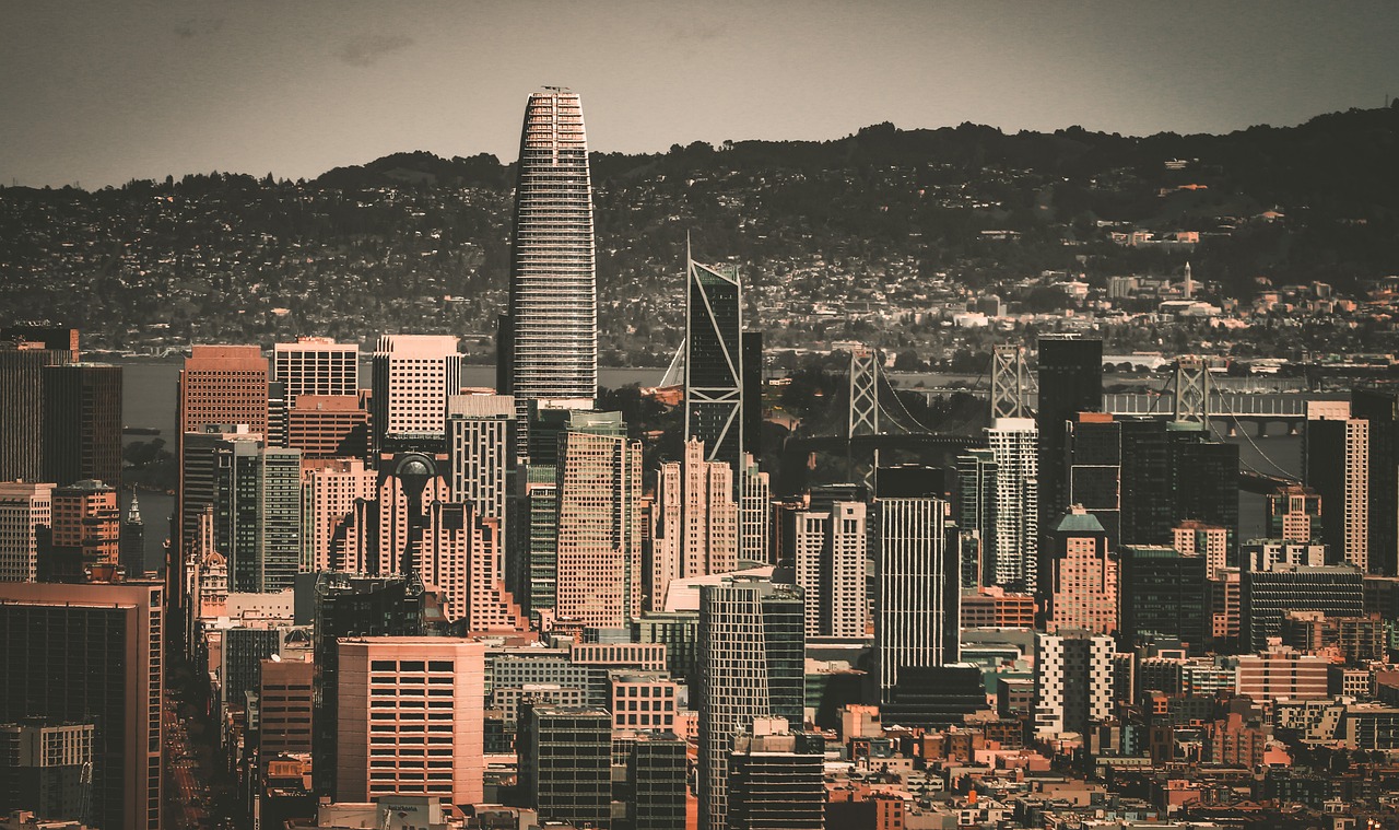 职联的鹿岛 职联的鹿岛