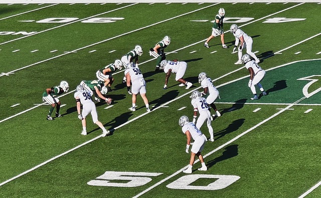 佩尼亚也曾 佩尼亚也曾