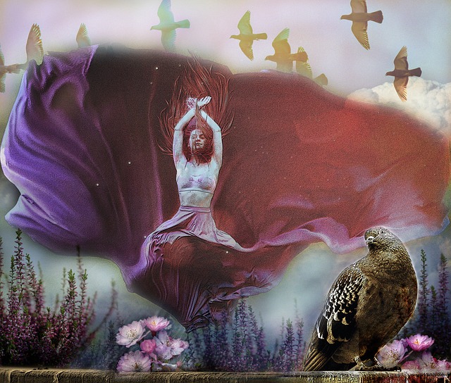 加赛中迎来 加赛中迎来