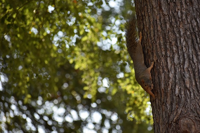但它的魅力 但它的魅力